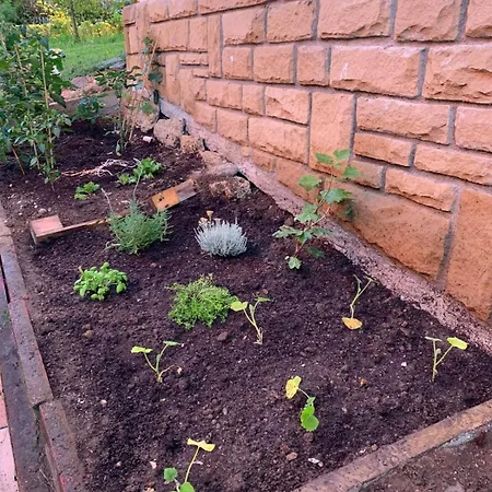 Aloka * 소펠라나